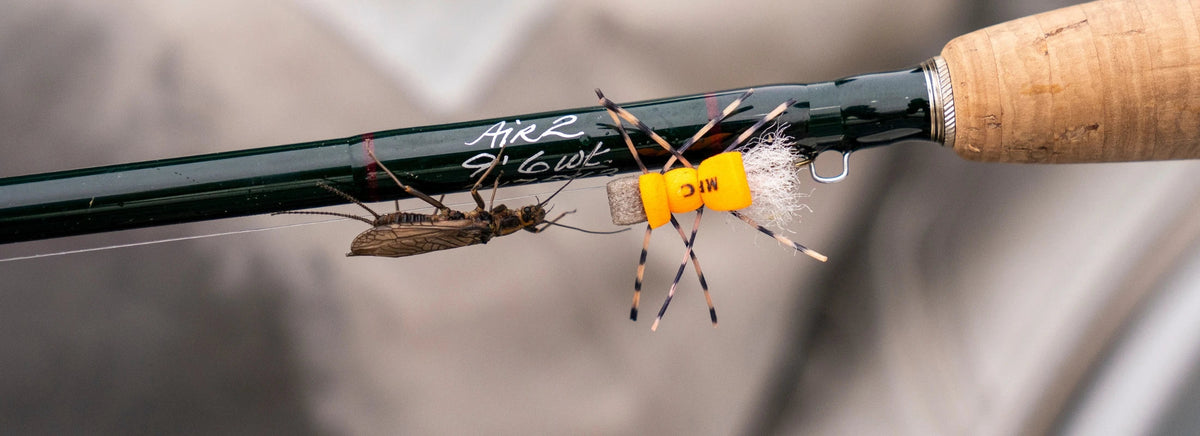 Montana Fly Fishing Hatch Chart