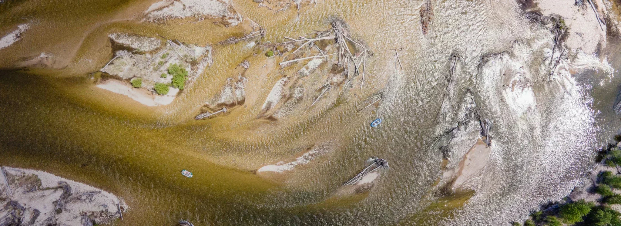 Cracking the Code: 5 Tips for Fishing Missoula's Legendary Salmonfly Hatch