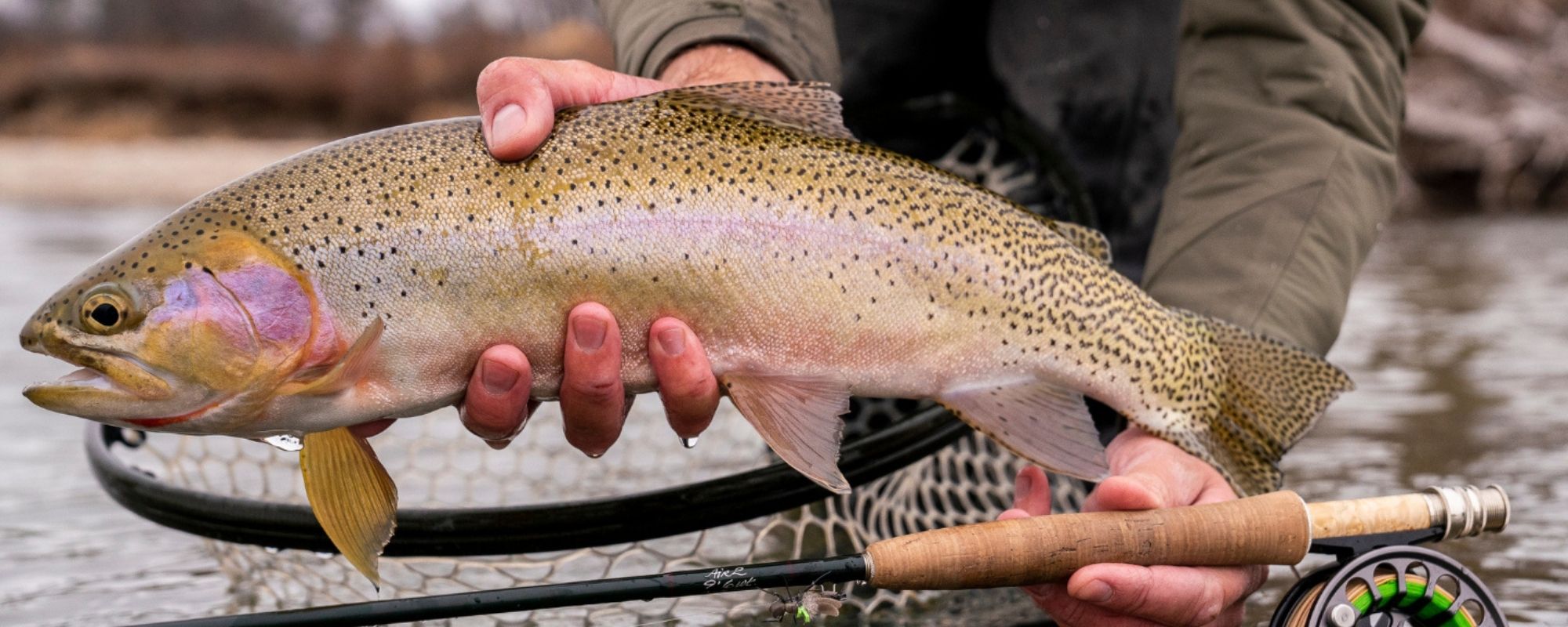 5 Reasons Why You SHOULDN’T Go on a Montana Fly Fishing Trip