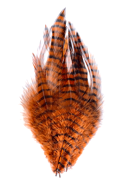 MFC Barred Saddle Hackle - Main Image