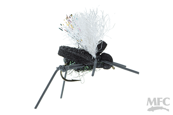 AJ's Beetle (6-pack)