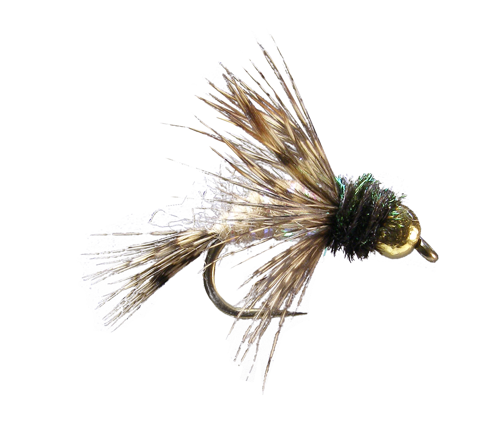 Anderson Bird of Prey (6-pack)