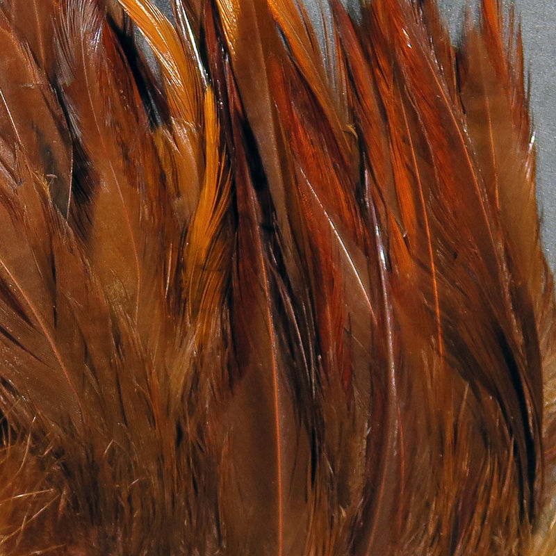 Strung Saddle Hackle