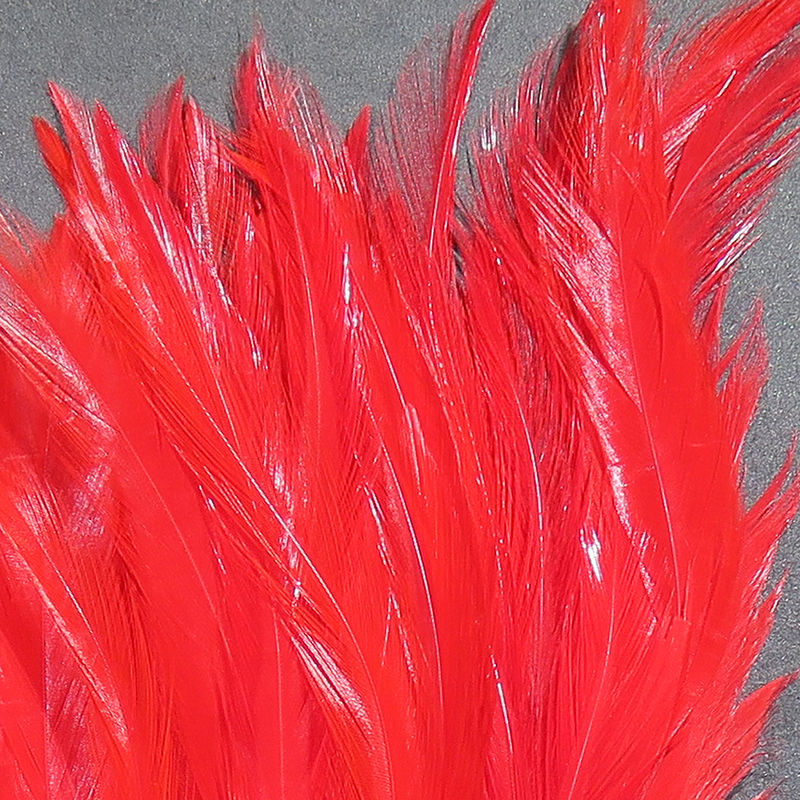 Strung Saddle Hackle