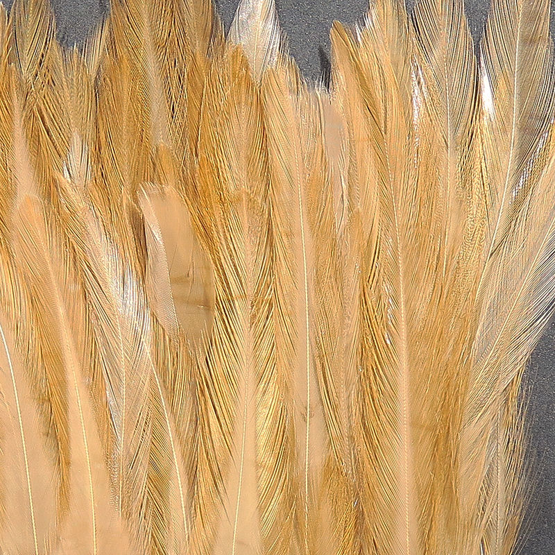 Strung Saddle Hackle