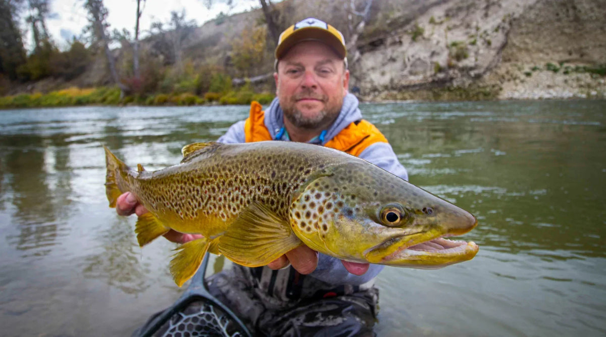 a man holds a large brown trout on a river in montana