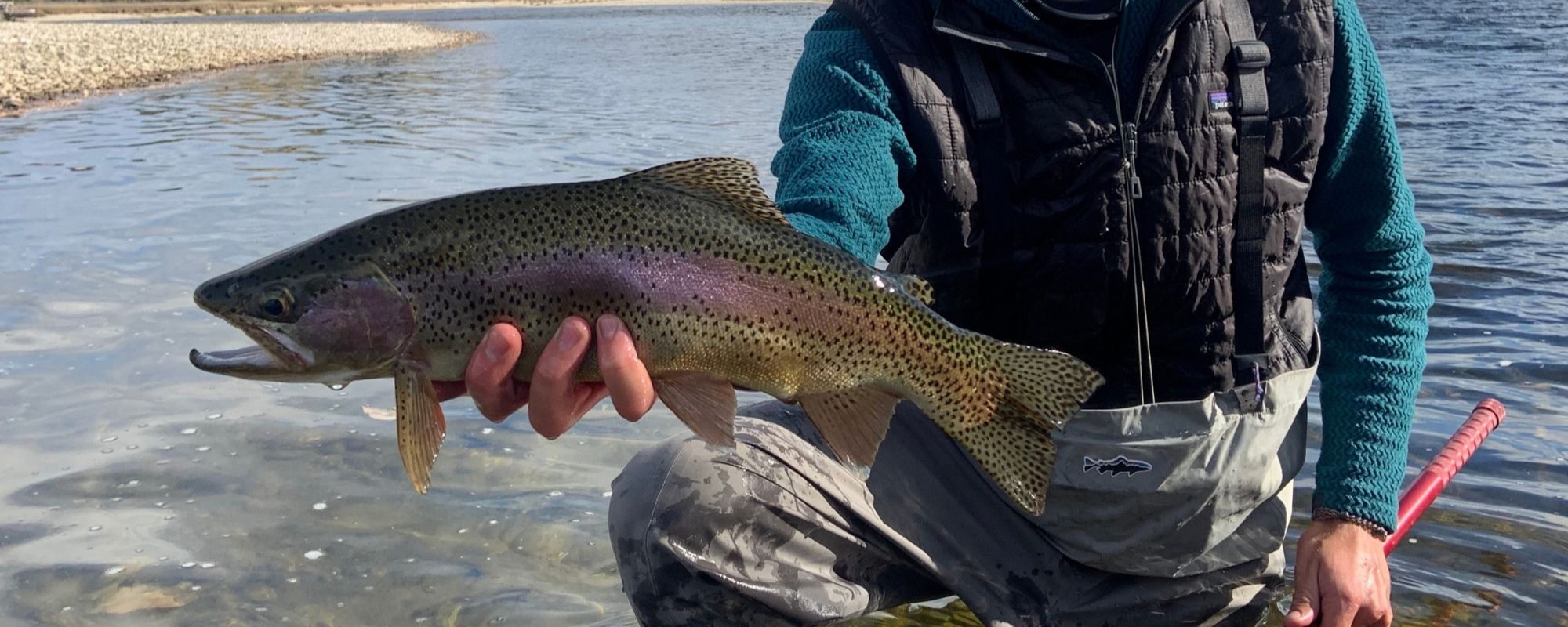 Top 5 Flies For Spring Fly Fishing in Missoula