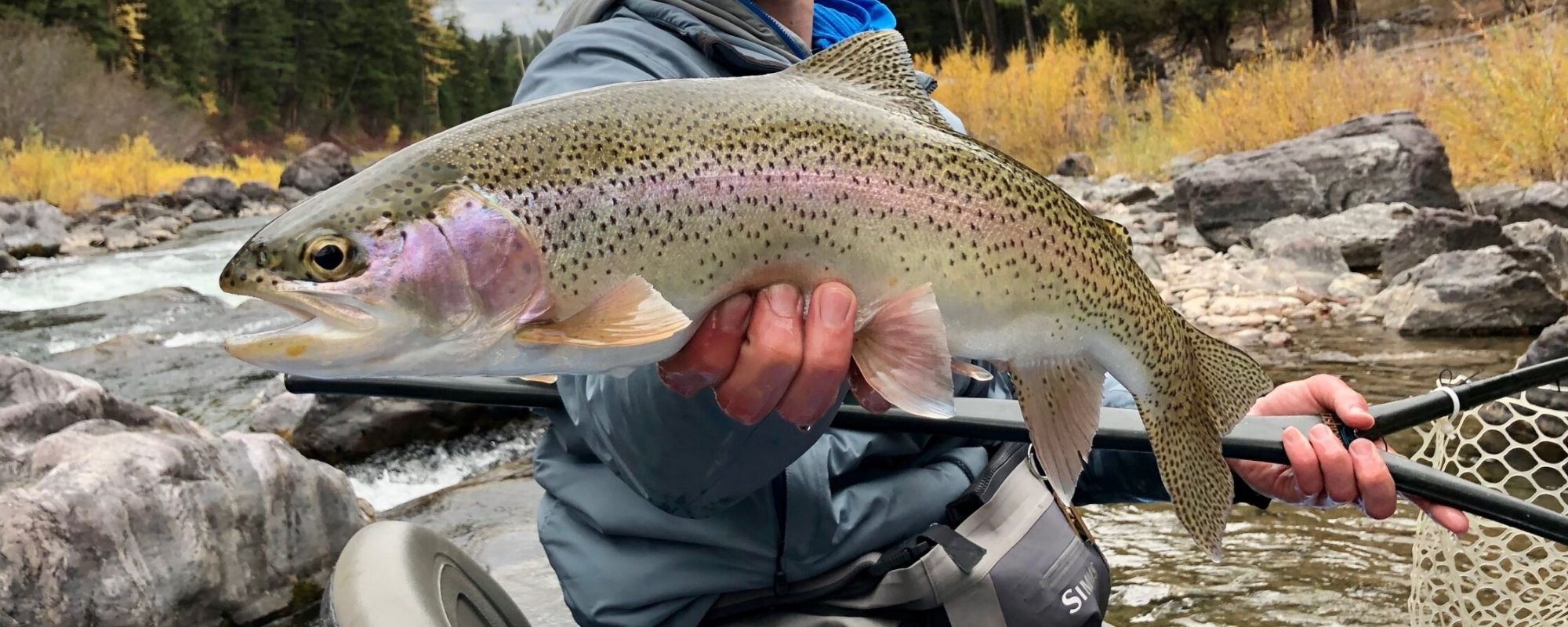 Top 5 Salmonfly Patterns – Montana Salmonfly Hatch