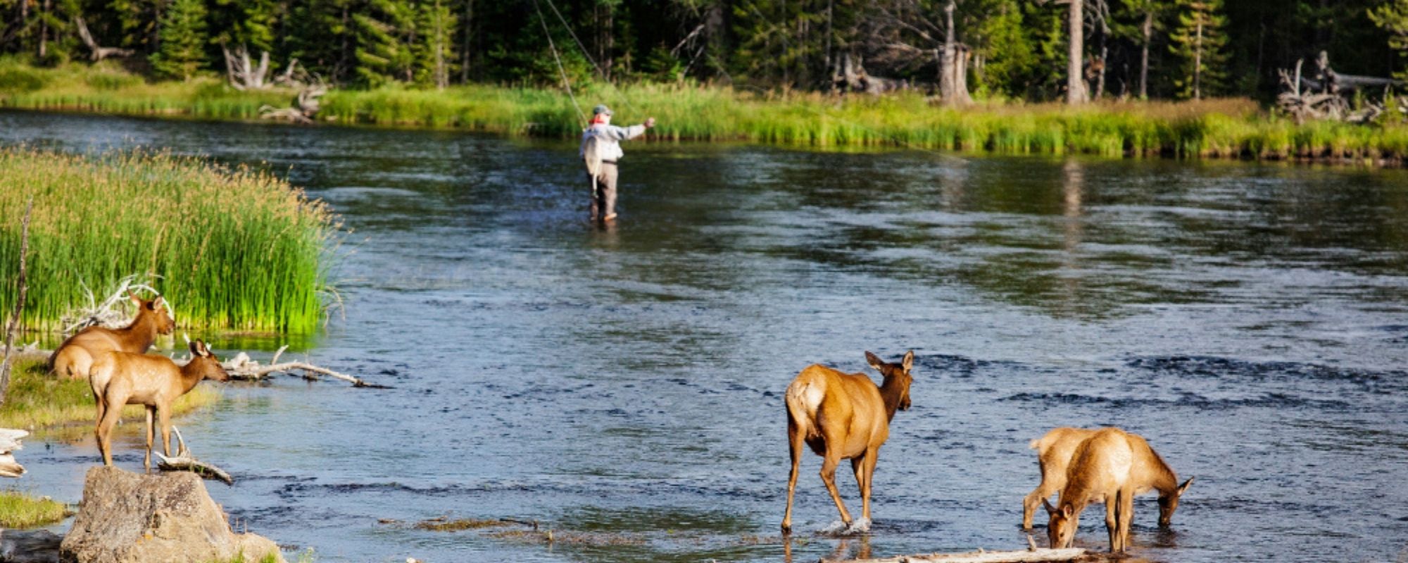 Montana Fly Fishing Vacation