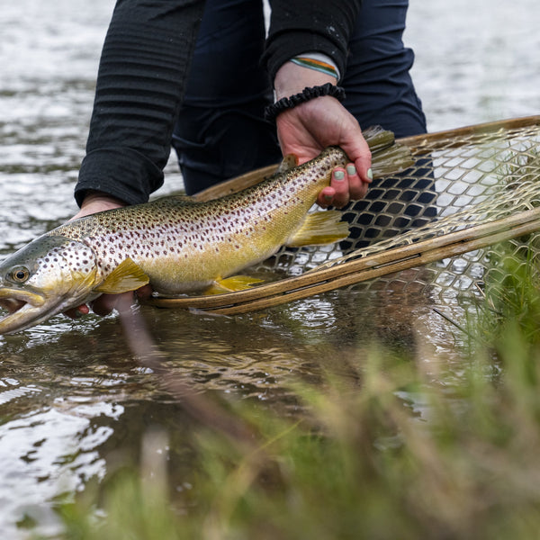 grizzly tobacco fly fishing reel Montana Fly Fishing Guide grizzly tobacco fly fishing reel Montana Fly Fishing Guide
