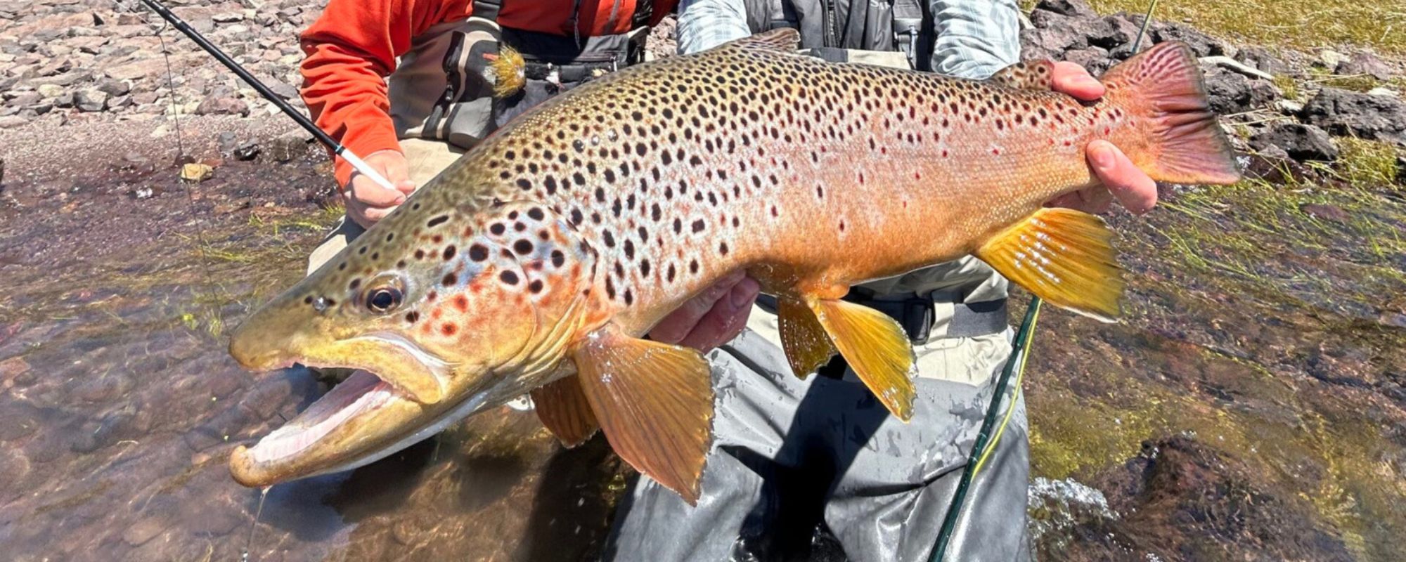 Patagonia Fly Fishing Trip Report: Cinco Rios and Estancia del Zorro