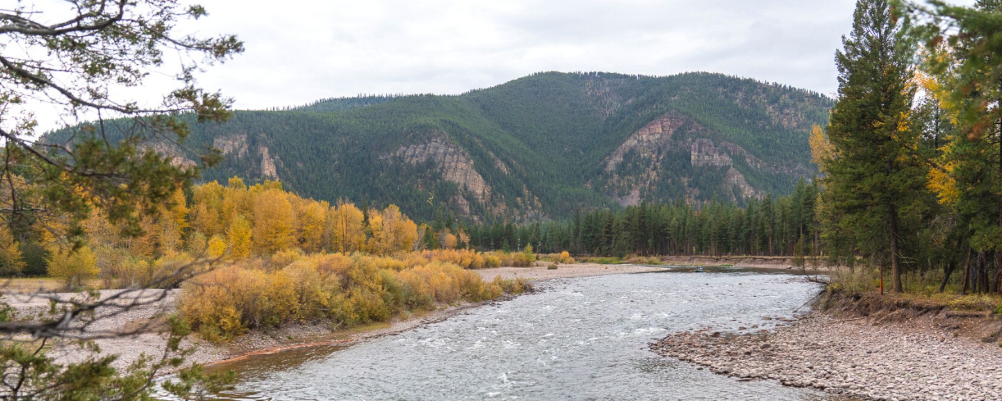 5 Rivers for Fly Fishing Near Missoula