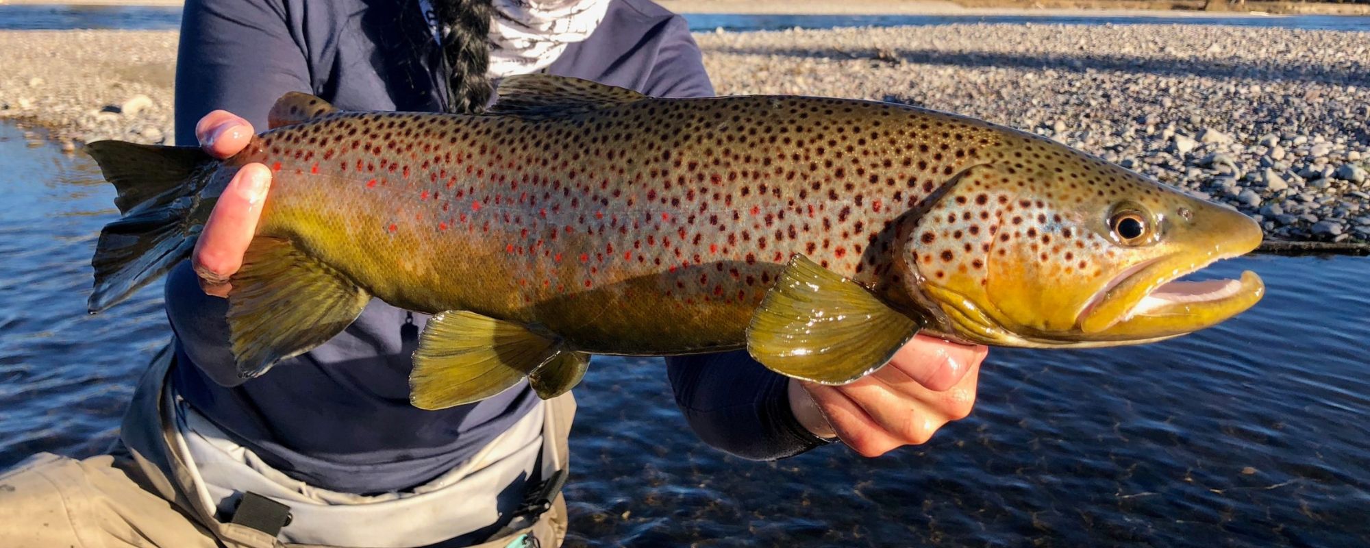 Top 5 Streamers For Fall Fly Fishing