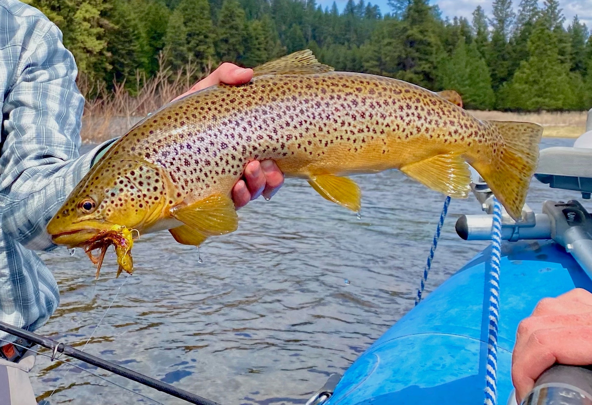Articulated Streamers
