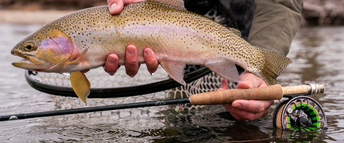 All Fly Reels