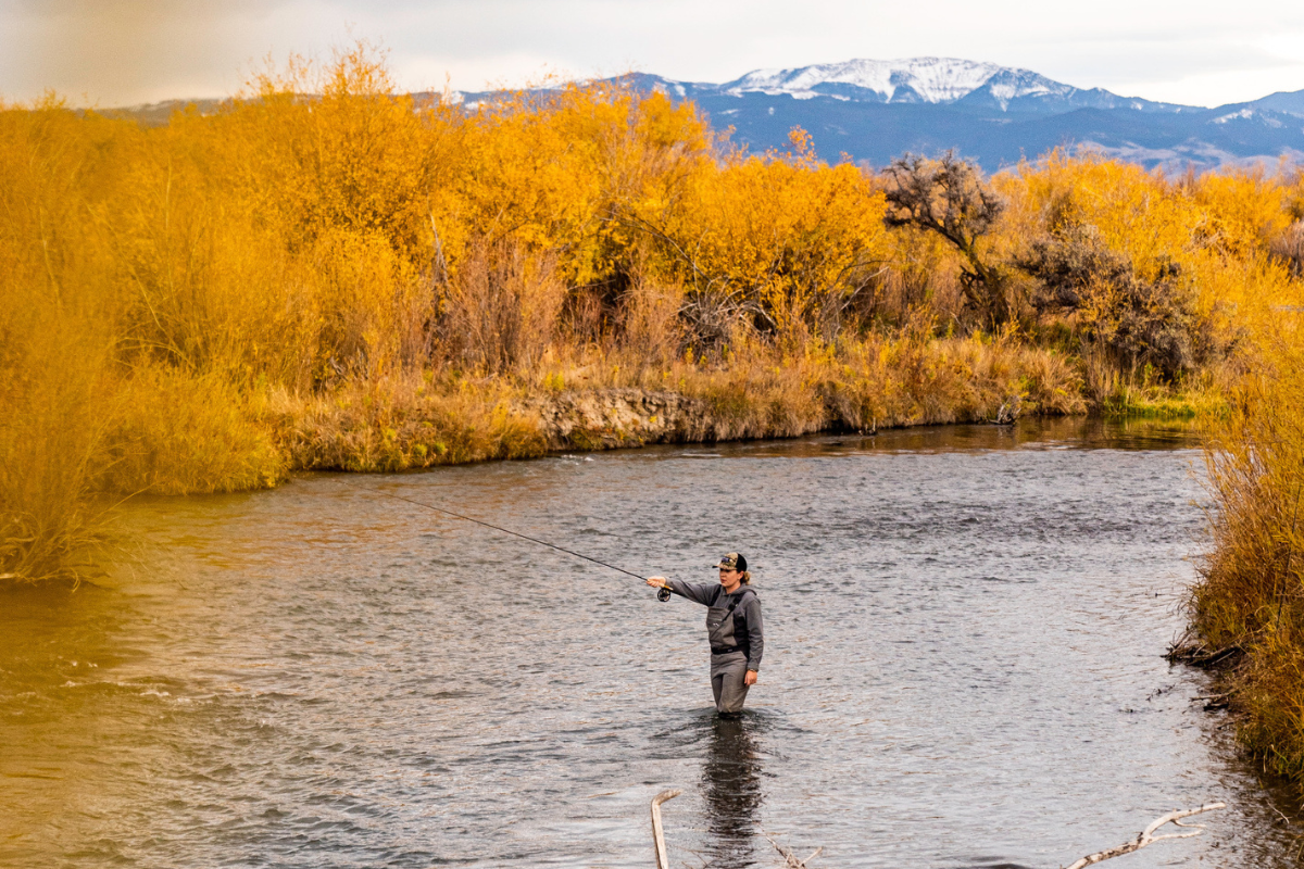 Fall Fly Fishing Essentials