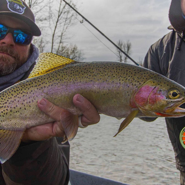 Orvis Fly Reels