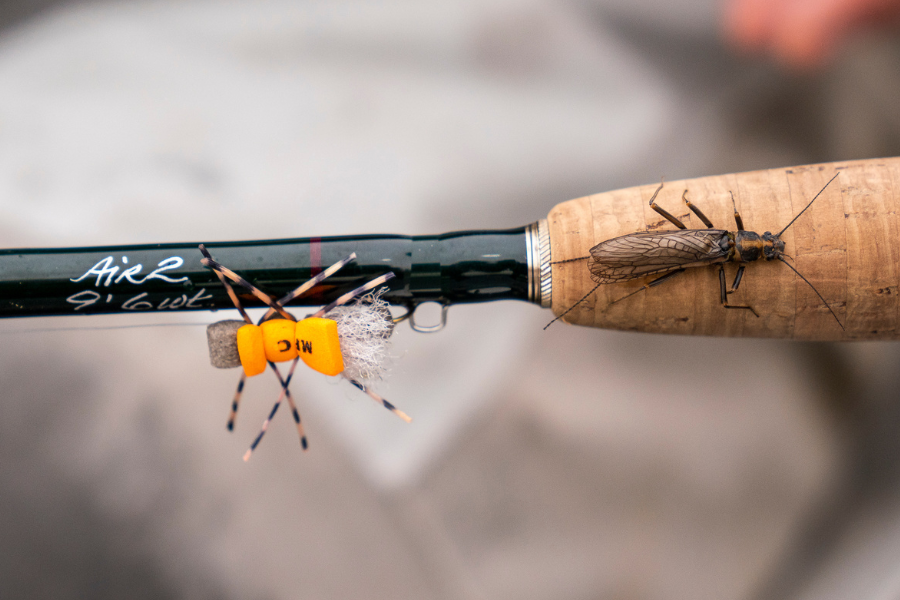 a fly fishing fly on a fly rod with a skwala stonefly next to it
