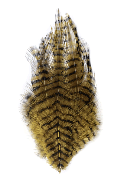 MFC Barred Saddle Hackle