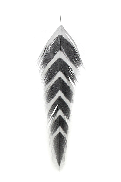 MFC Galloup's Fish Feathers-Arrowhead