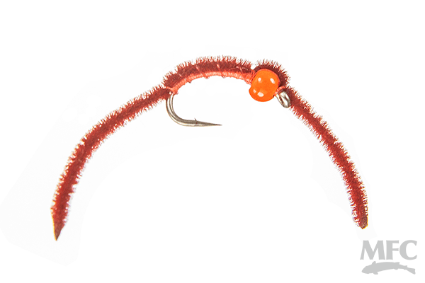 MFC Hot Worm (6-pack)