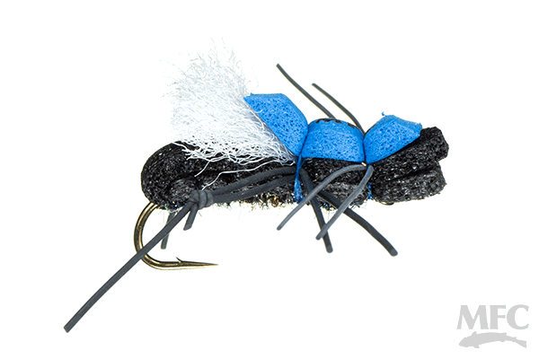 Taylor's Fat Albert (6-pack)