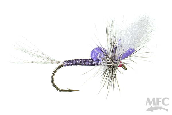 cripple backs fishing lure Keller's Ms. Tickle Cripple (6-pack)