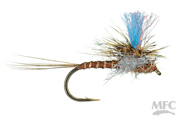 MFC Guide Winna Spinna  (6-Pack)