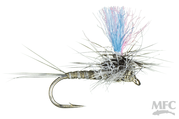 MFC Guide Winna Spinna  (6-Pack)