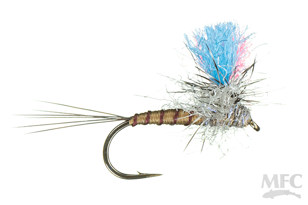 MFC Guide Winna Spinna  (6-Pack)