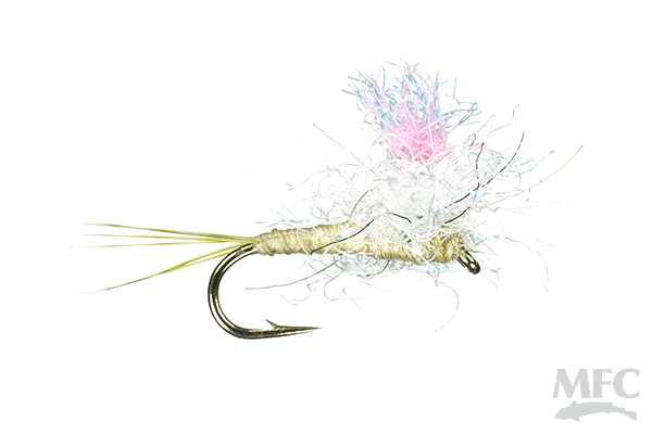 MFC Guide Winna Spinna  (6-Pack)