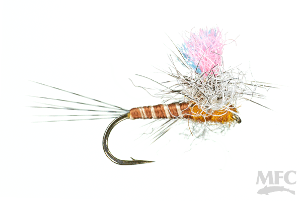 MFC Guide Winna Spinna  (6-Pack)