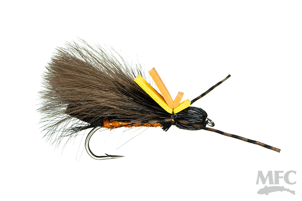 Oswald's Rastaman Stonefly  (6-pack)