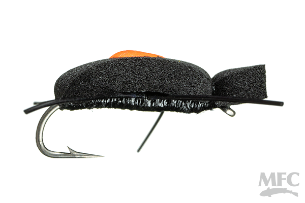 Quick Sight Beetle (6-pack)