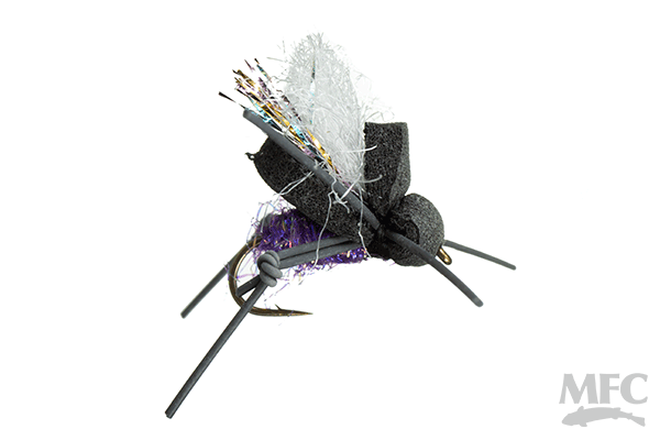 AJ's Beetle (6-pack)