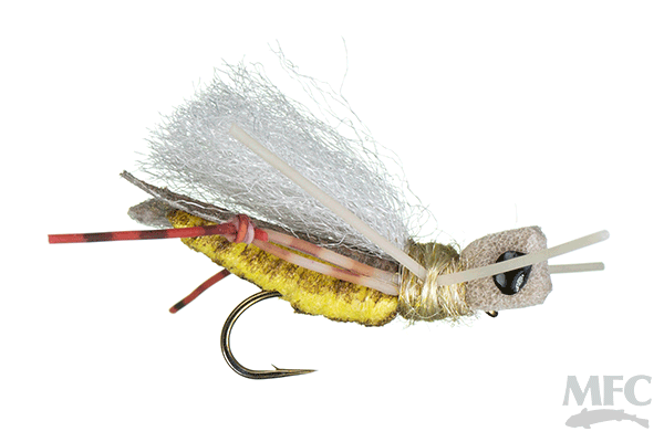 Trina's Carnage Hopper (6-pack)