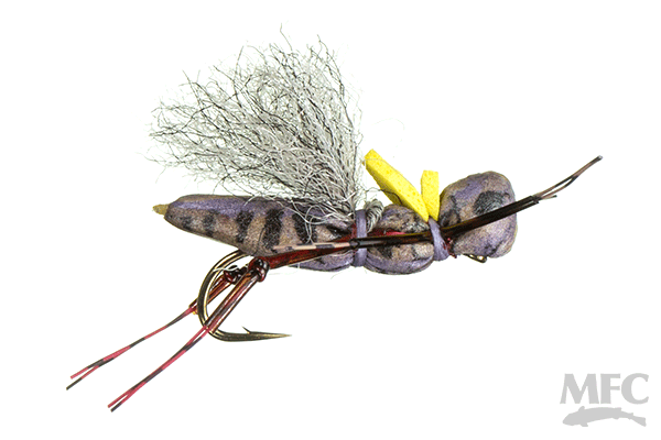 MFC's KK Henneberry Hopper (6-pack)