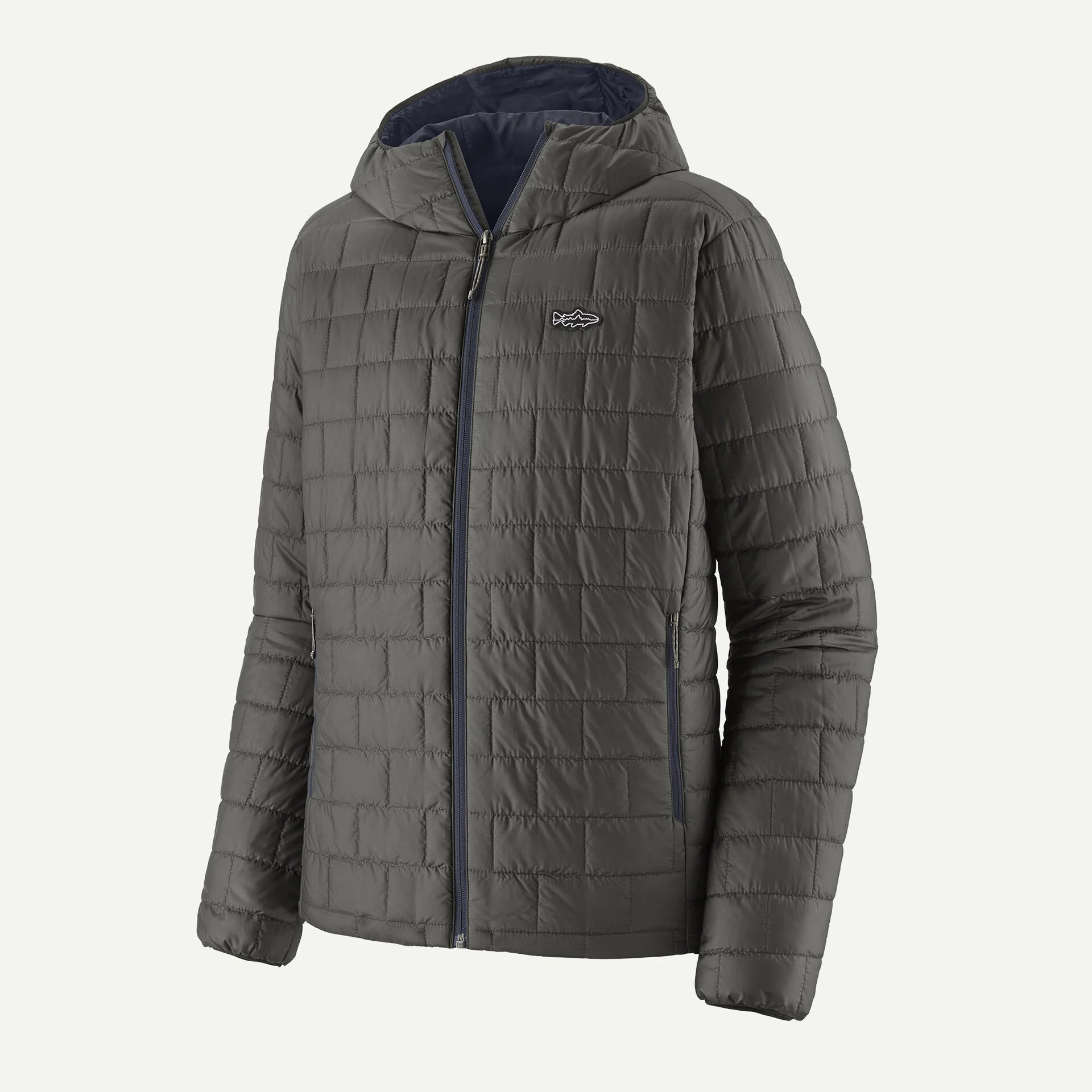 Patagonia M's Fitz Roy Trout Nano Puff Hoody