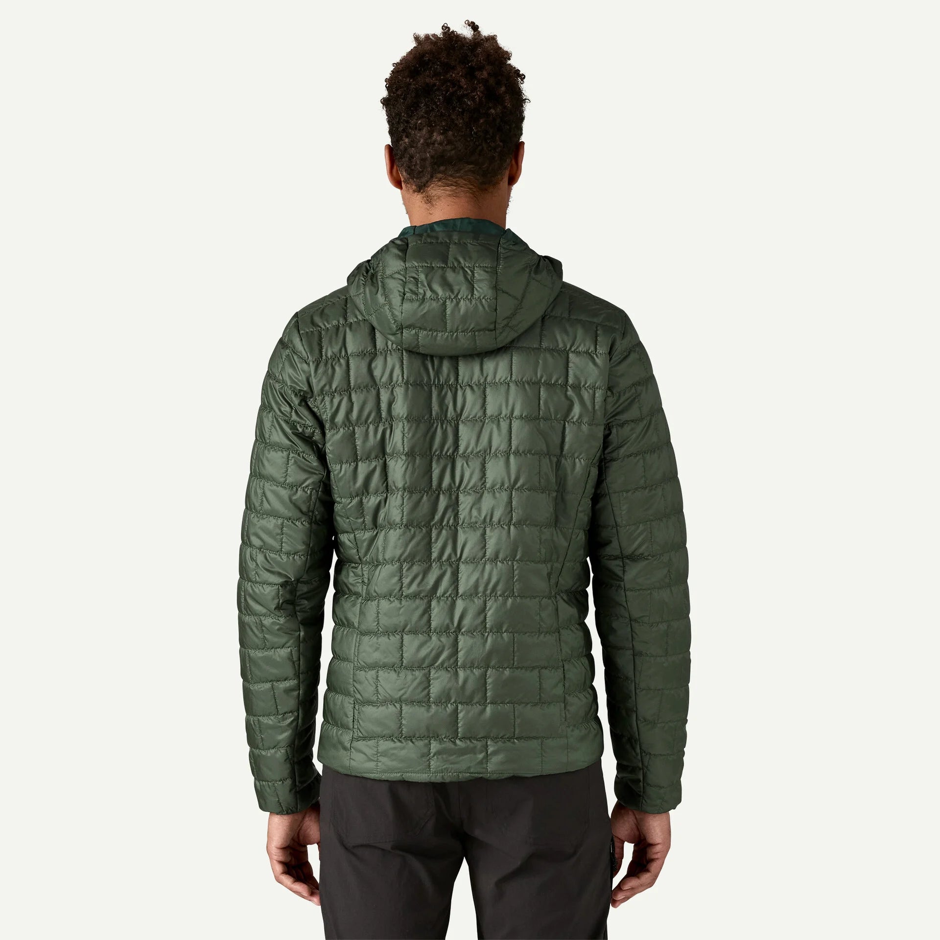 Patagonia M's Fitz Roy Trout Nano Puff Hoody