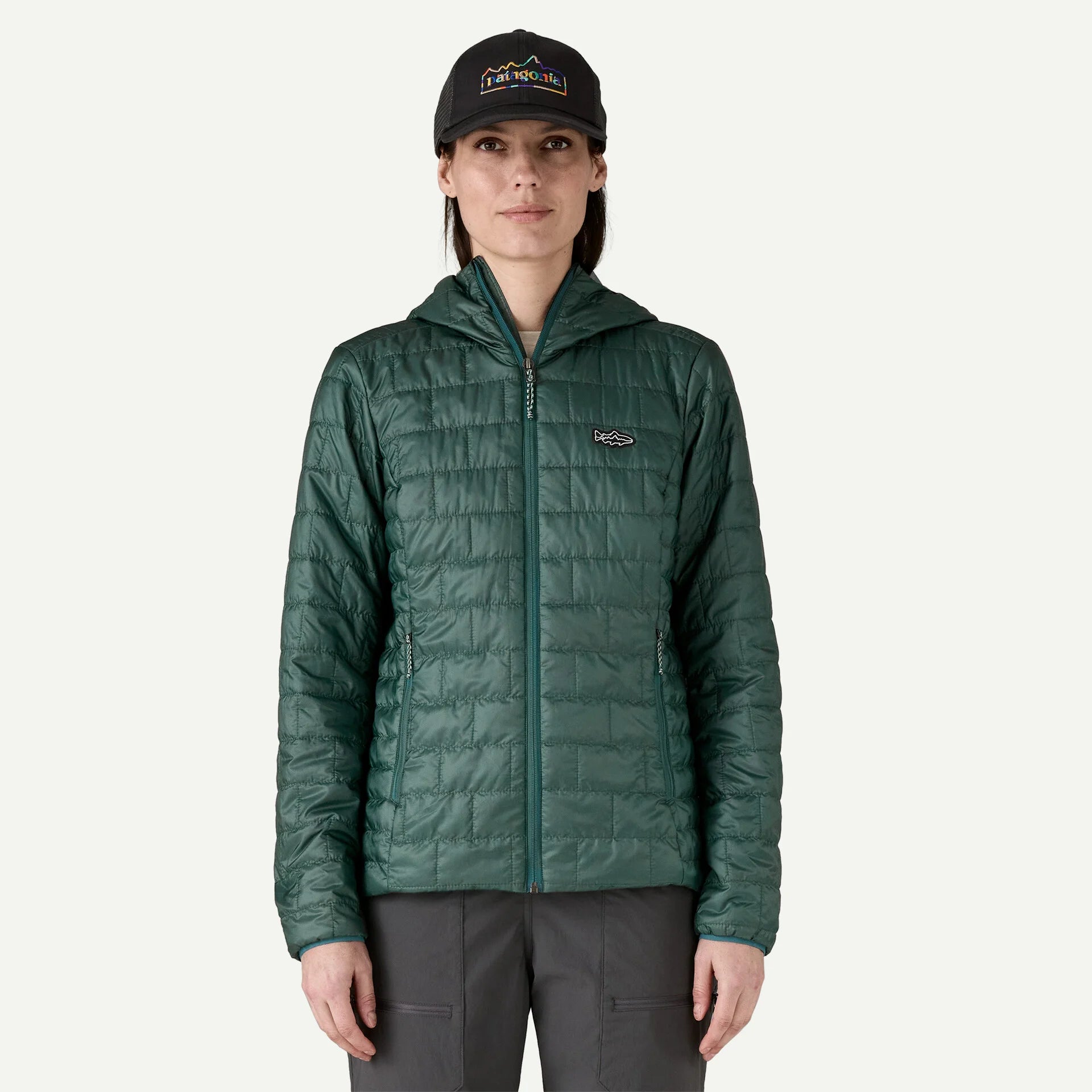 Patagonia W's Nano Puff Fitz Roy Trout Hoody