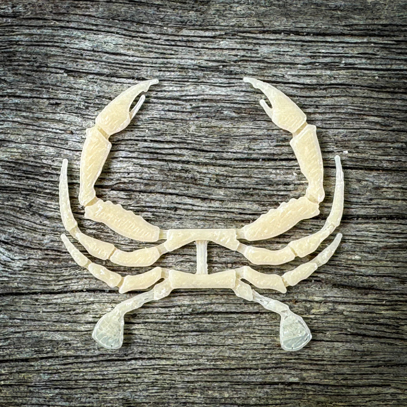 Flats Craft "The Sargasmo" (5-Pack)