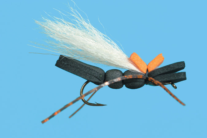 Luna Negra- Glows in the Dark (6-Pack)