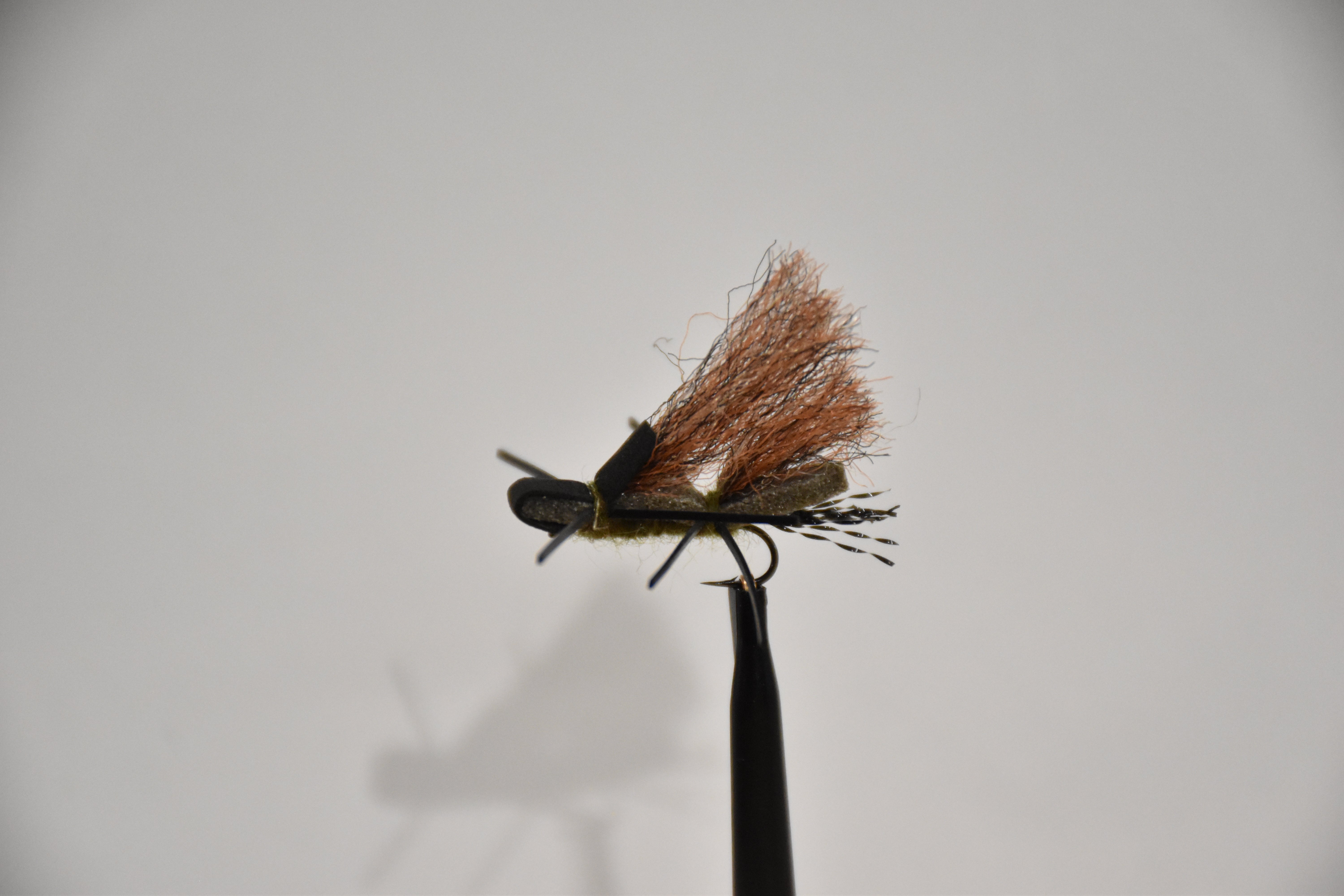 GH's Clark Fork Stone (6-Pack)