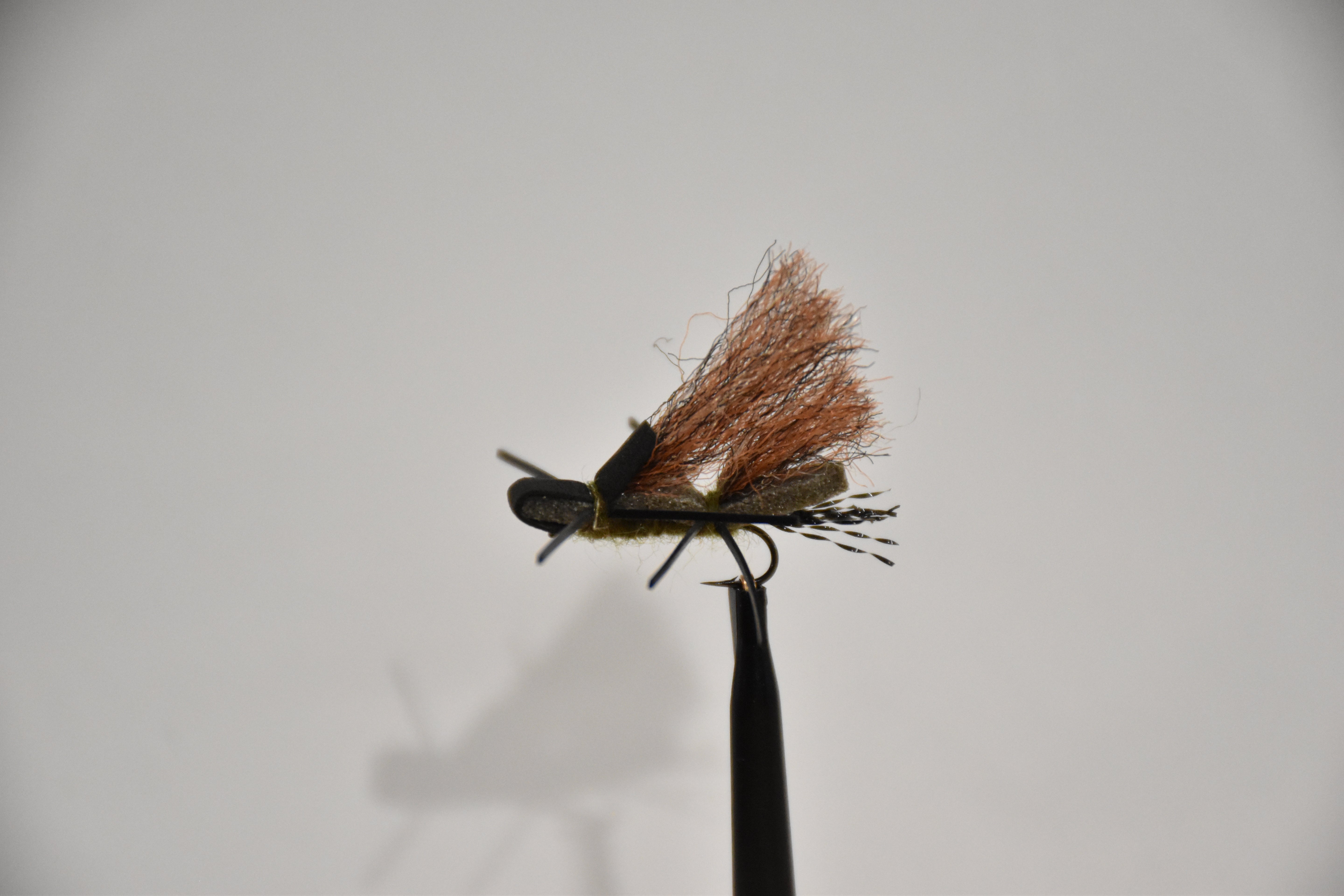 GH's Clark Fork Stone (6-Pack)