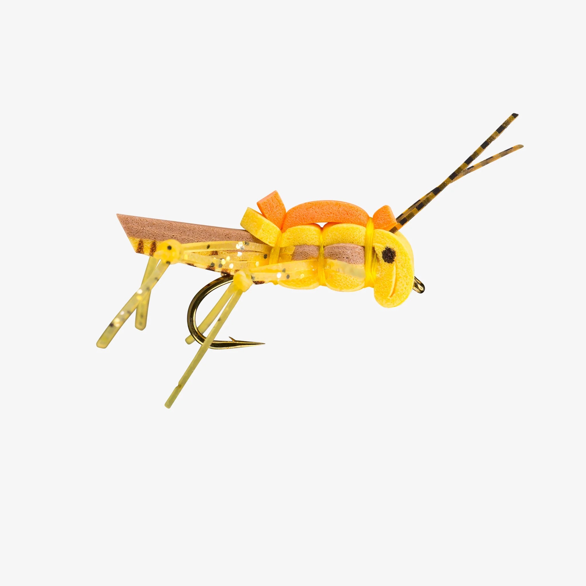 RIO's Juicy Hopper (6-pack)