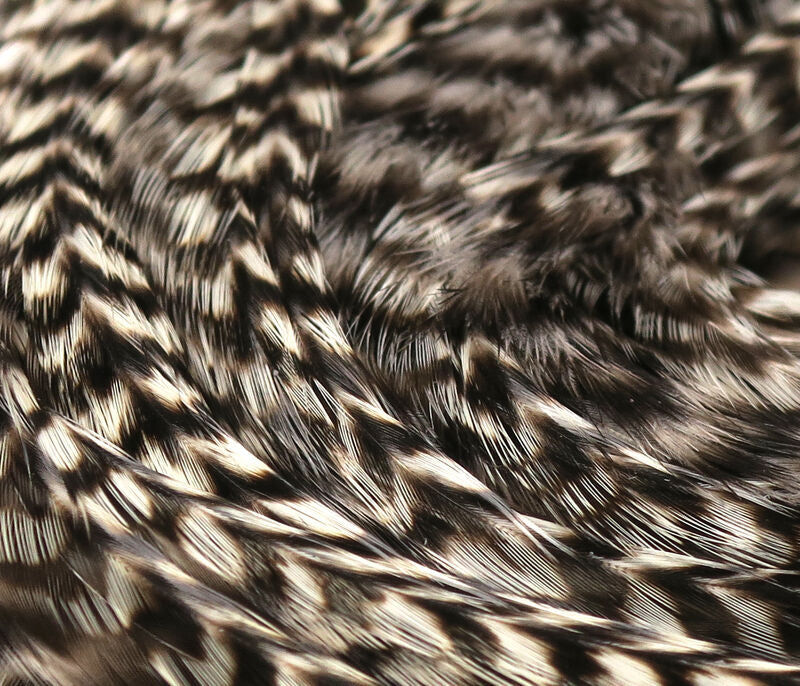 Hareline Half Dyed Grizzly Saddles