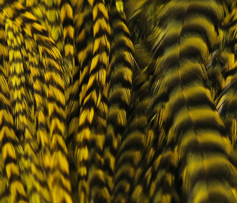 Hareline Half Dyed Grizzly Saddles