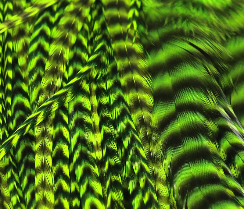 Hareline Half Dyed Grizzly Saddles