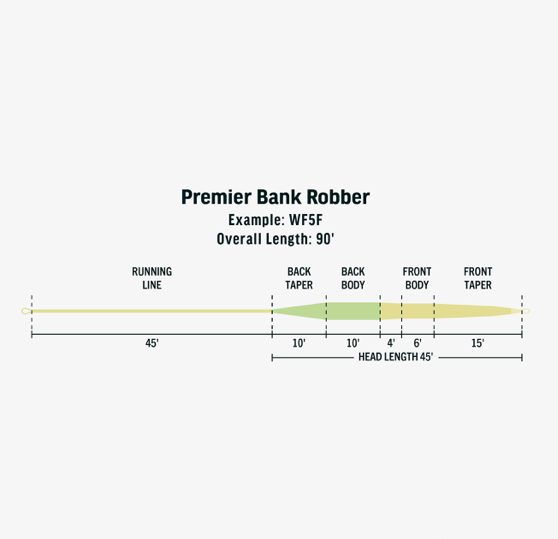 RIO Premier Bank Robber Fly Line