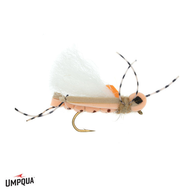 Umpqua's Thunder Thighs Hopper (6-pack)